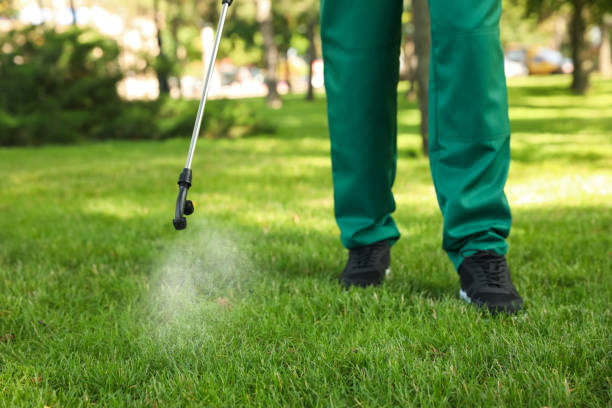 Best Cockroach Control Services  in Brinckerhoff, NY