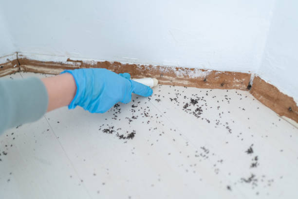 Best Commercial Pest Control Services  in Brinckerhoff, NY